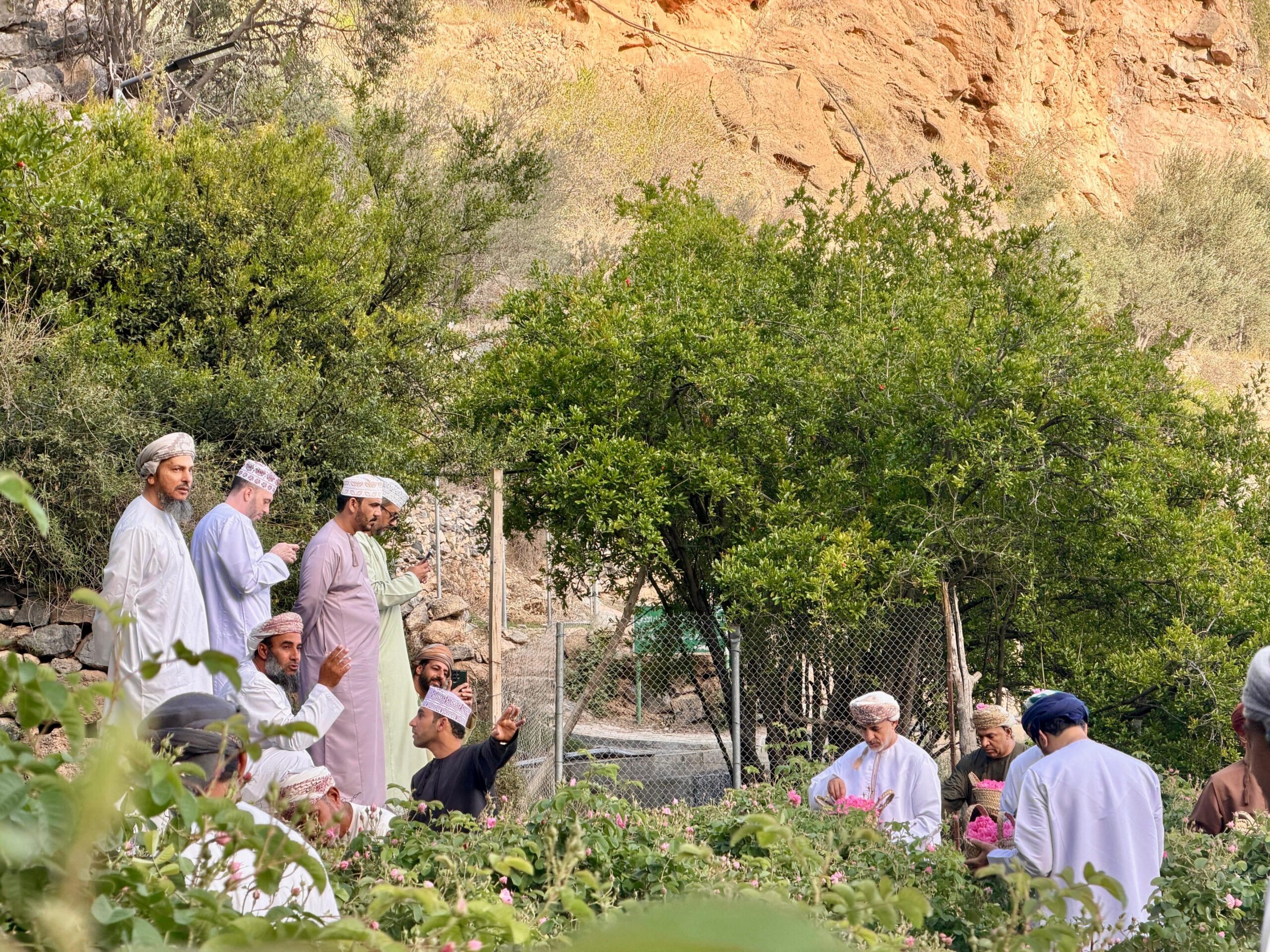 لجنة الصحفيين بمحافظتي الداخلية والوسطى تدشّن برنامجها السنوي بزيارة موسم الورد بالجبل الأخضر