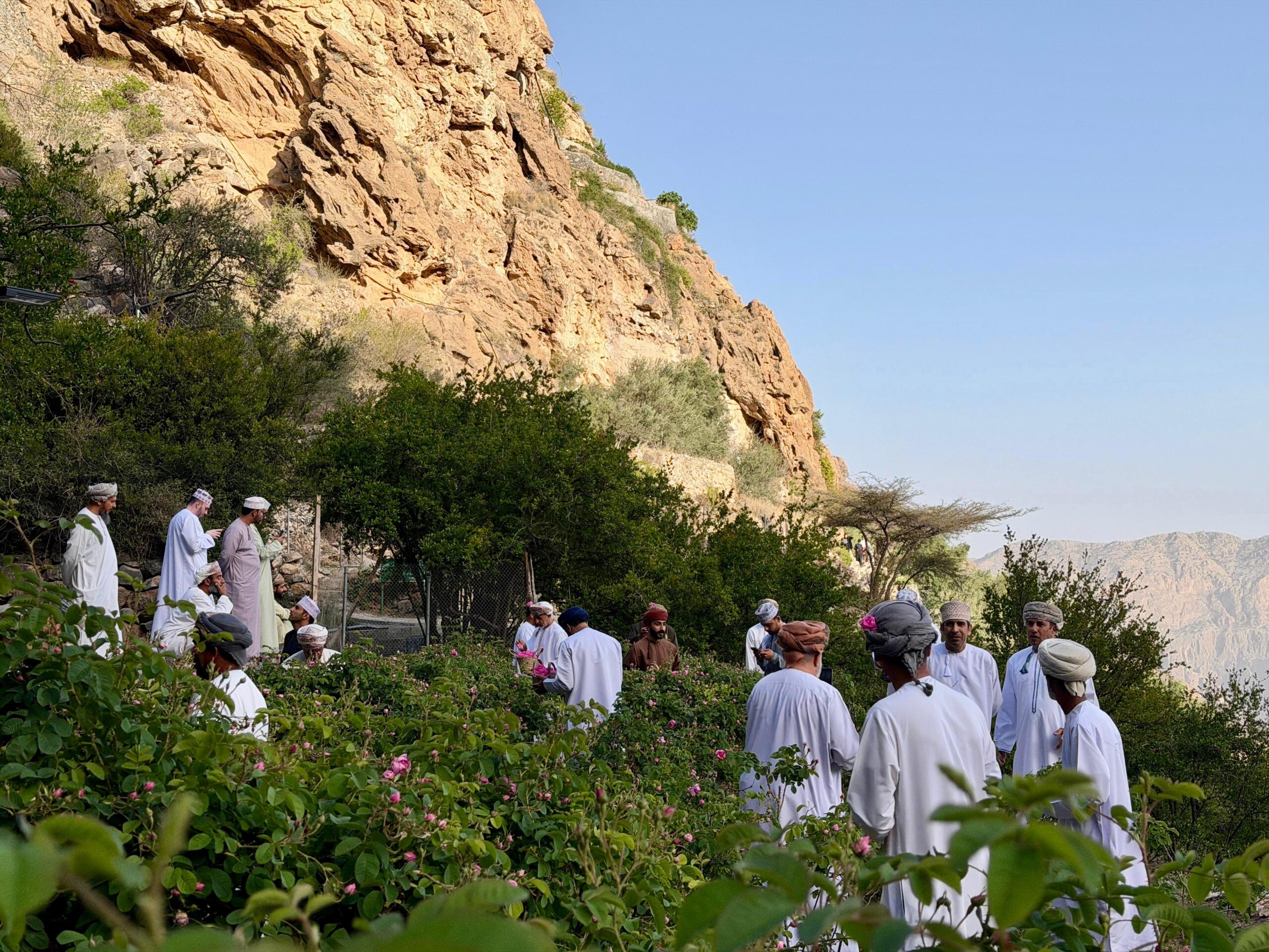لجنة الصحفيين بمحافظتي الداخلية والوسطى تدشّن برنامجها السنوي بزيارة موسم الورد بالجبل الأخضر
