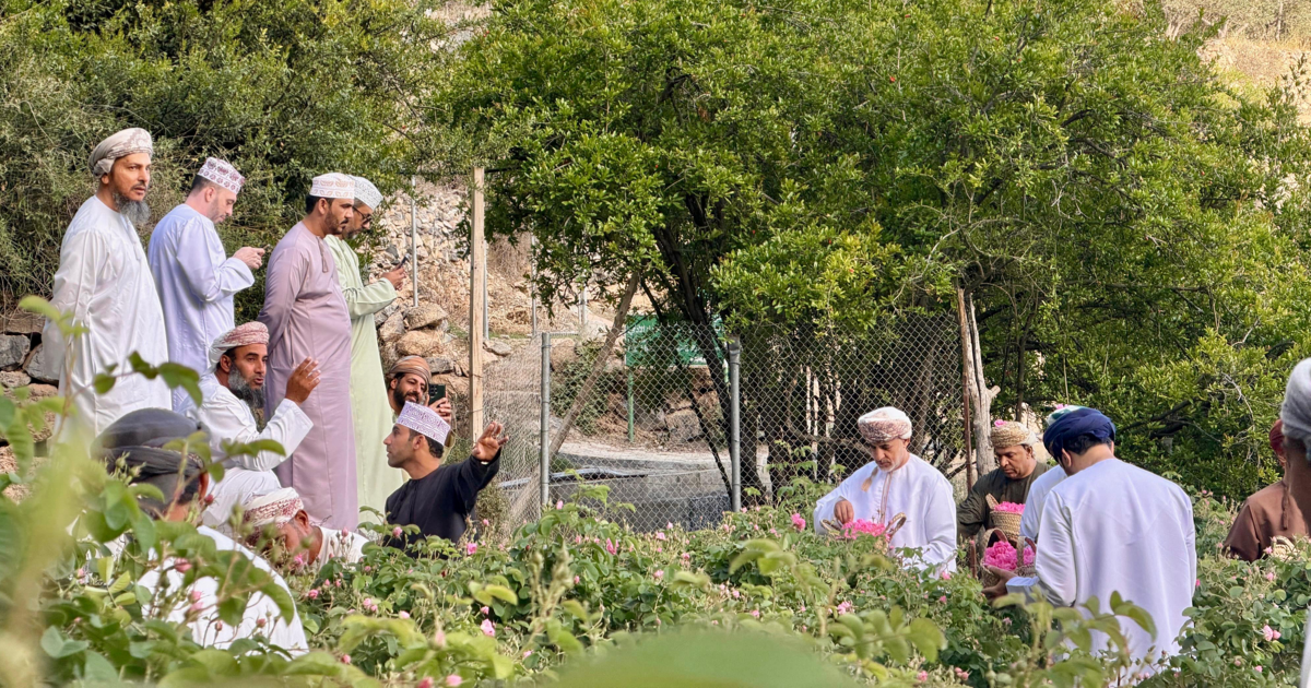 لجنة الصحفيين بمحافظتي الداخلية والوسطى تدشّن برنامجها السنوي بزيارة موسم الورد بالجبل الأخضر